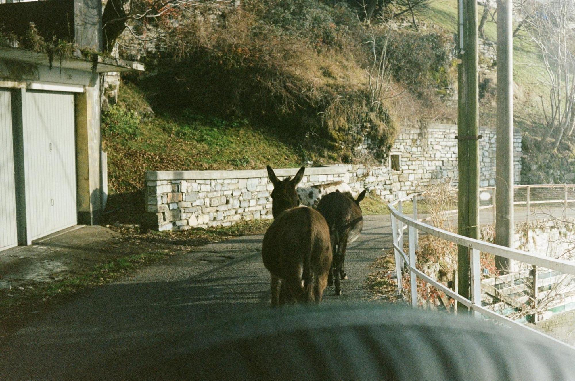 Ca' Bossi Vila Cernobbio Exterior foto